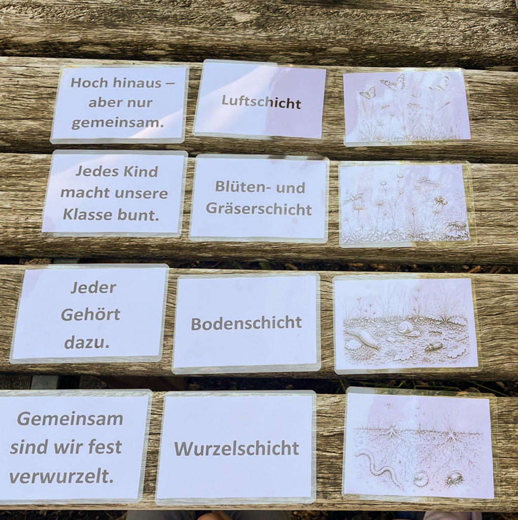 Grafik